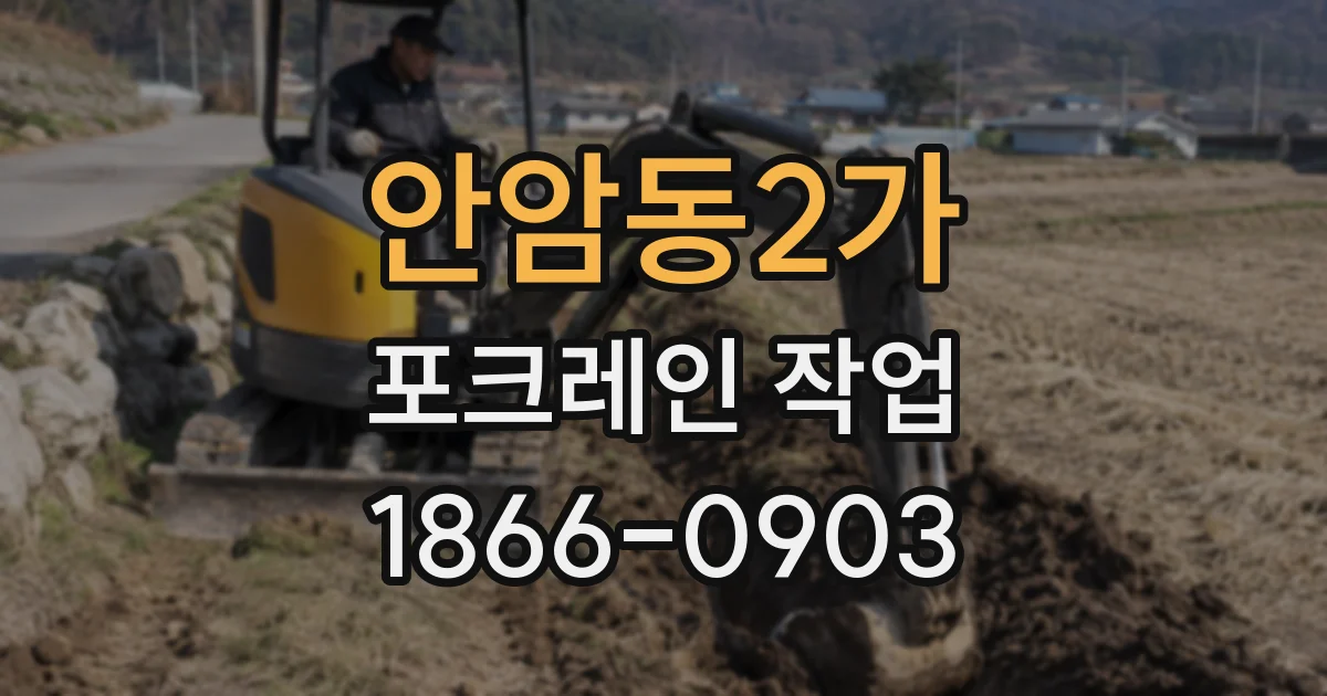 안암동2가 포크레인 작업