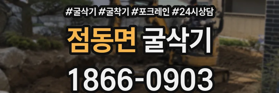 점동면 굴삭기