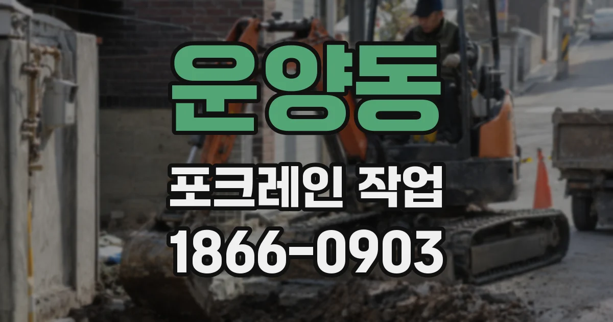 운양동 포크레인 작업