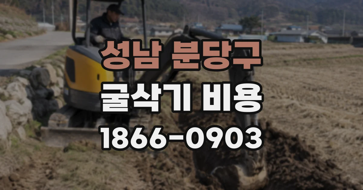 성남 분당구 굴삭기 비용