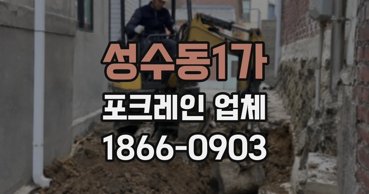 성수동1가 포크레인 업체