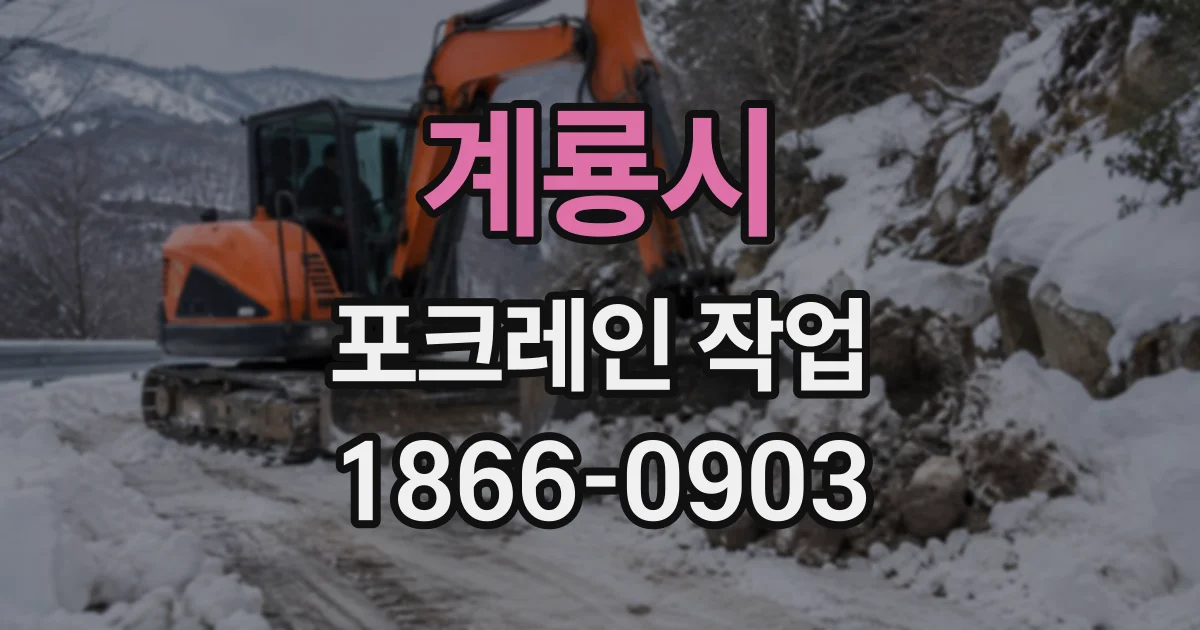 계룡시 포크레인작업