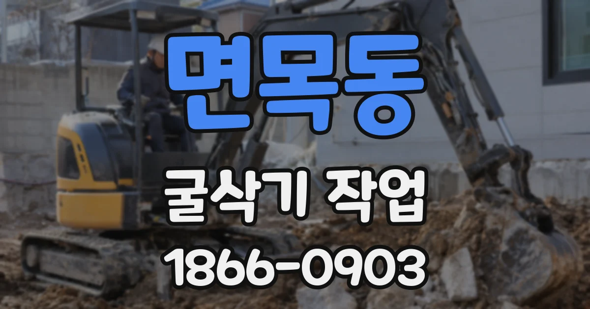 면목동 굴삭기 작업