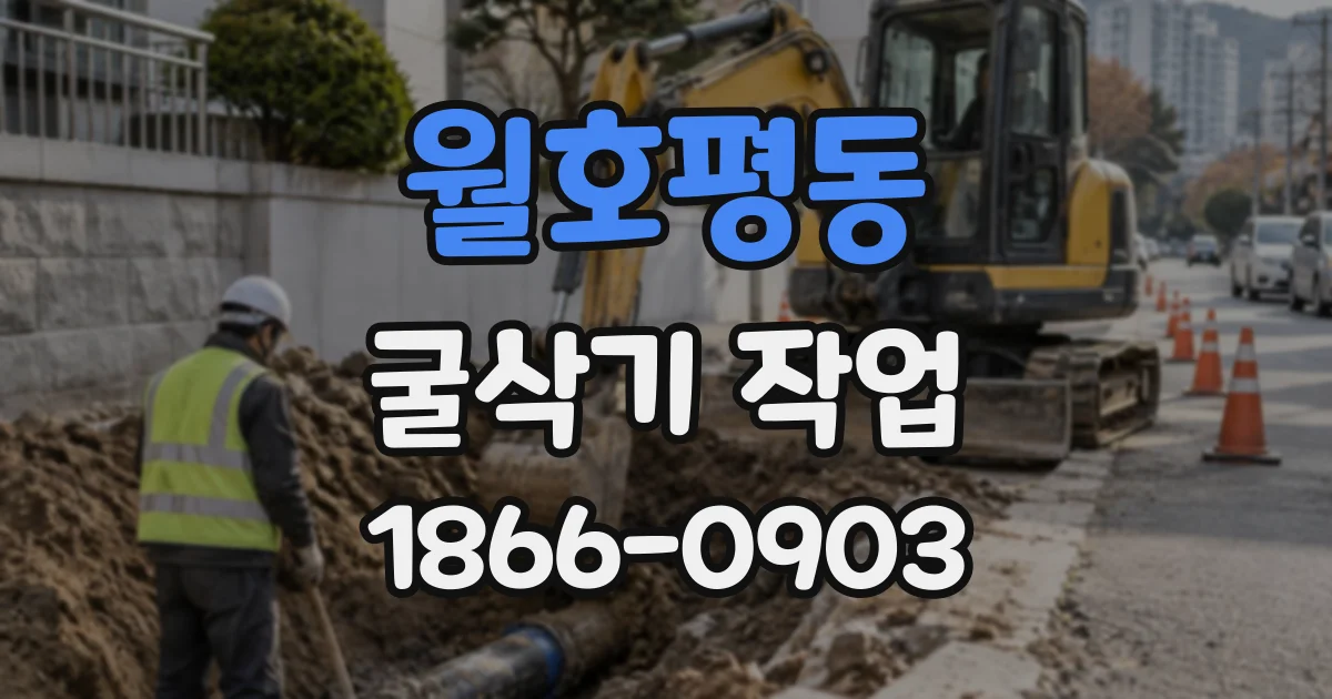 월호평동 굴삭기작업