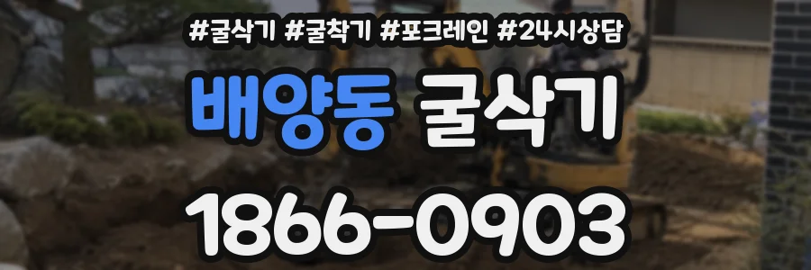 배양동 굴삭기
