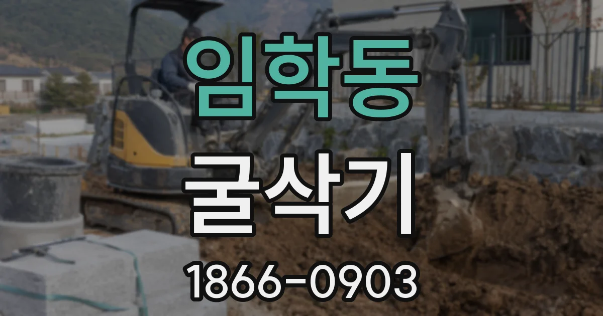 임학동 굴삭기