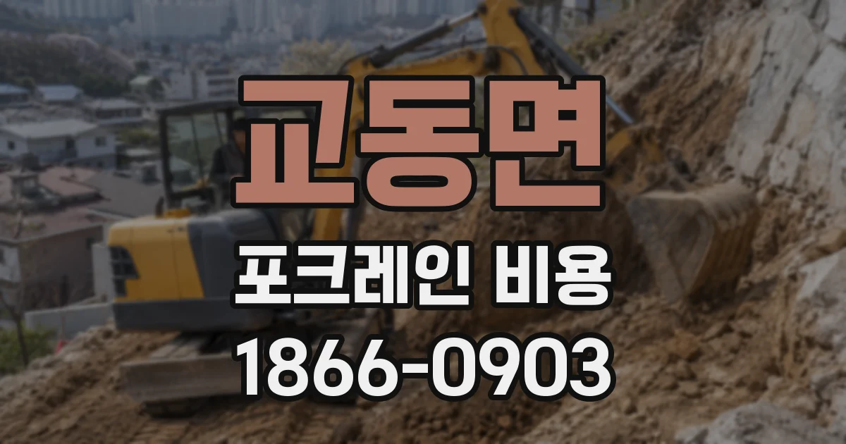 교동면 포크레인 비용