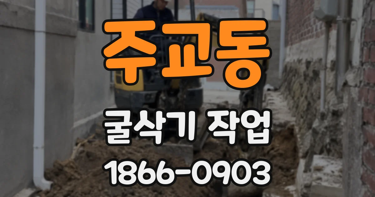 주교동 굴삭기 작업