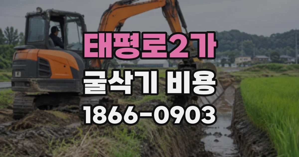 태평로2가 굴삭기비용