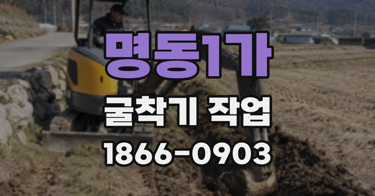 명동1가 굴착기 작업