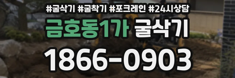 금호동1가 굴삭기