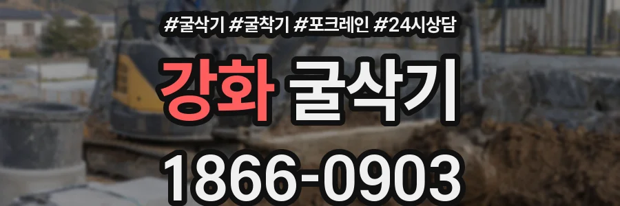 강화 굴삭기