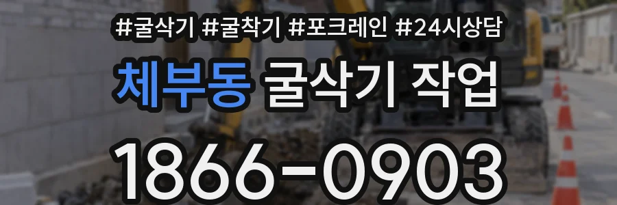 체부동 굴삭기 작업