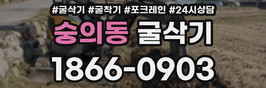 숭의동 굴삭기