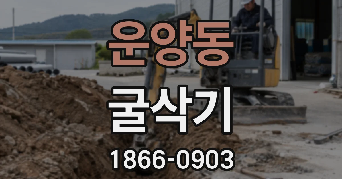운양동 굴삭기