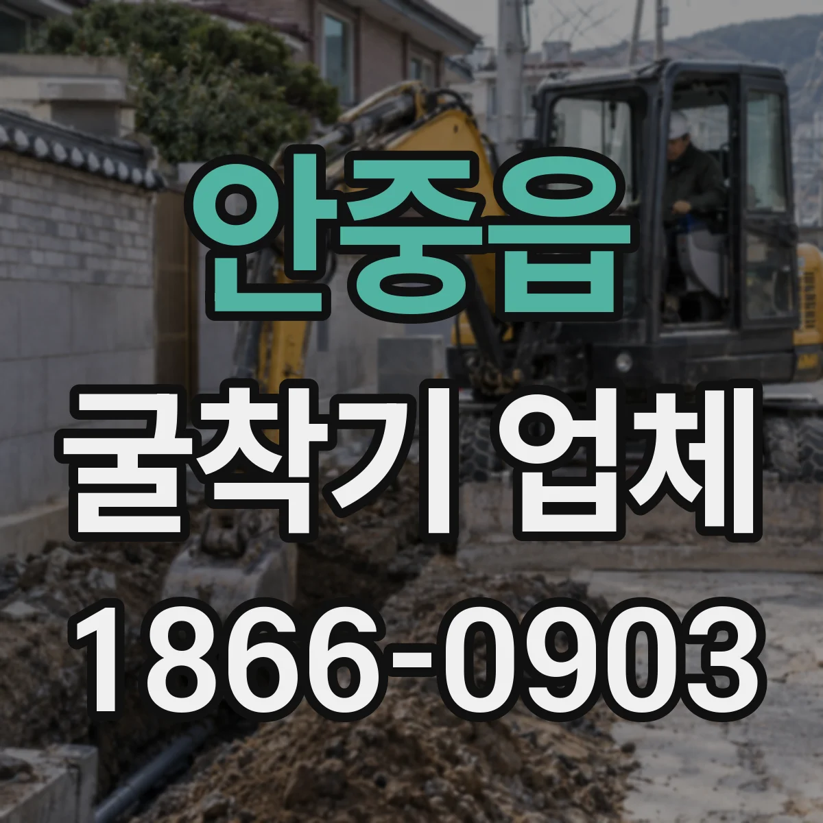 안중읍 굴착기 업체