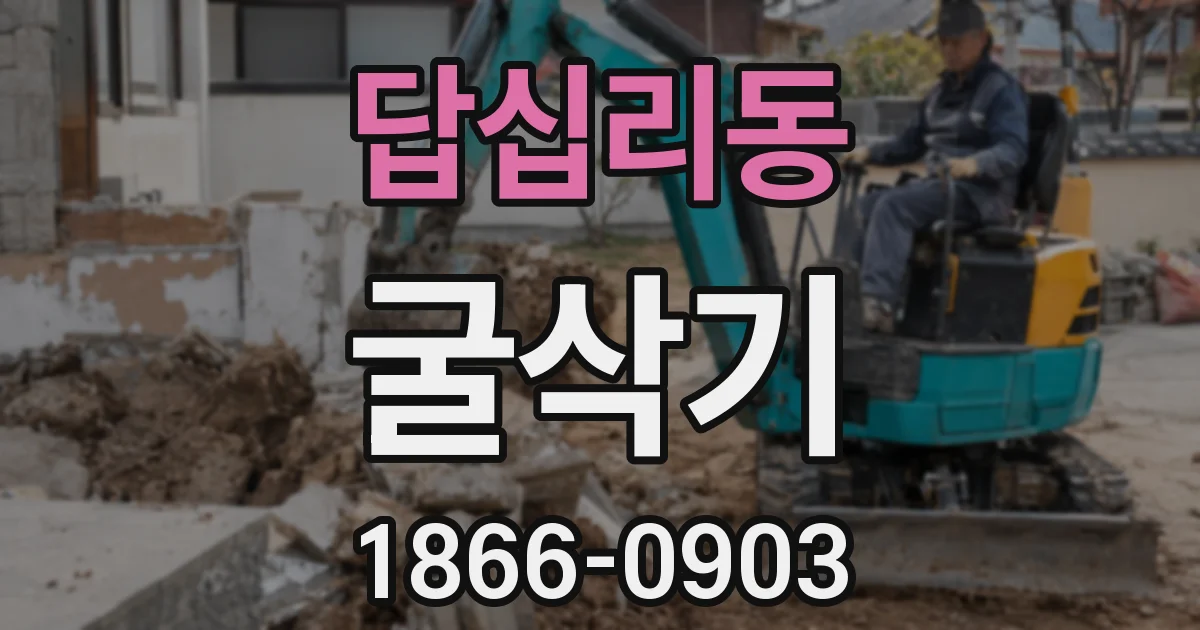 답십리동 굴삭기