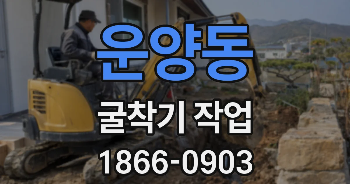 운양동 굴착기 작업