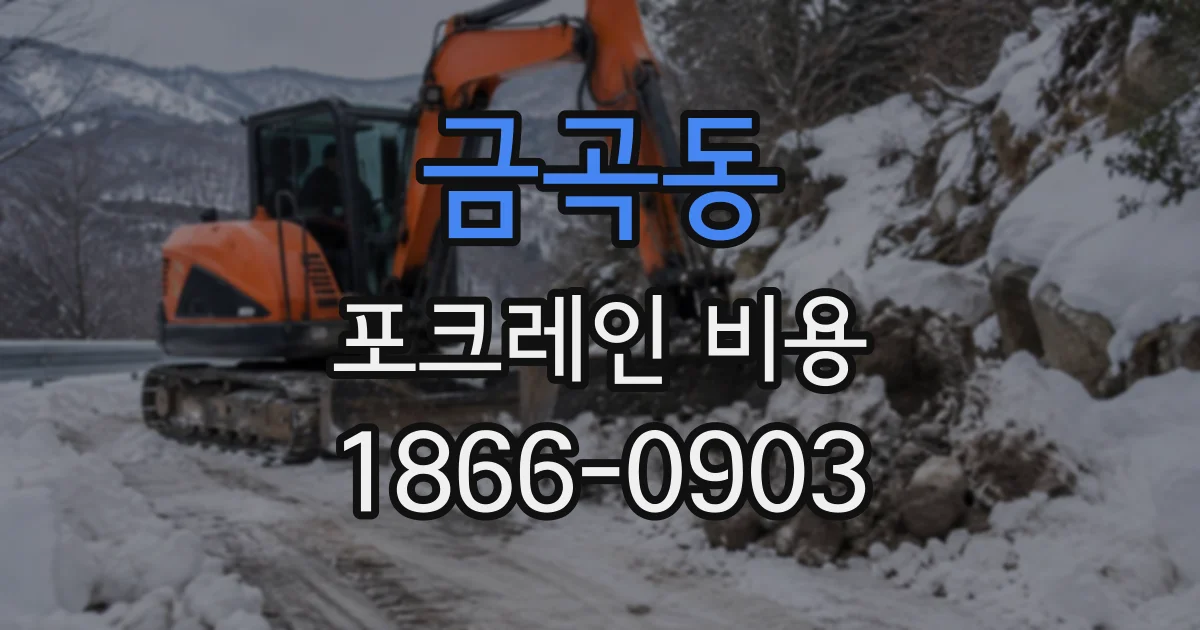 금곡동 포크레인비용