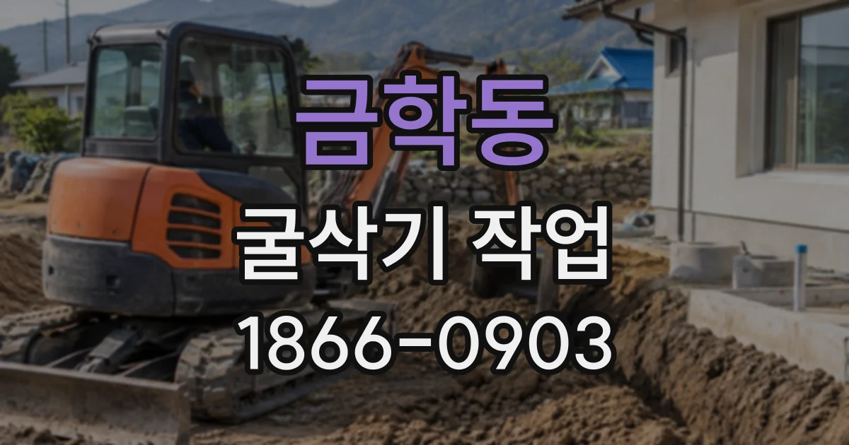 금학동 굴삭기작업