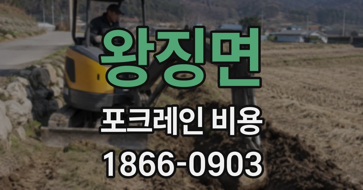 왕징면 포크레인 비용
