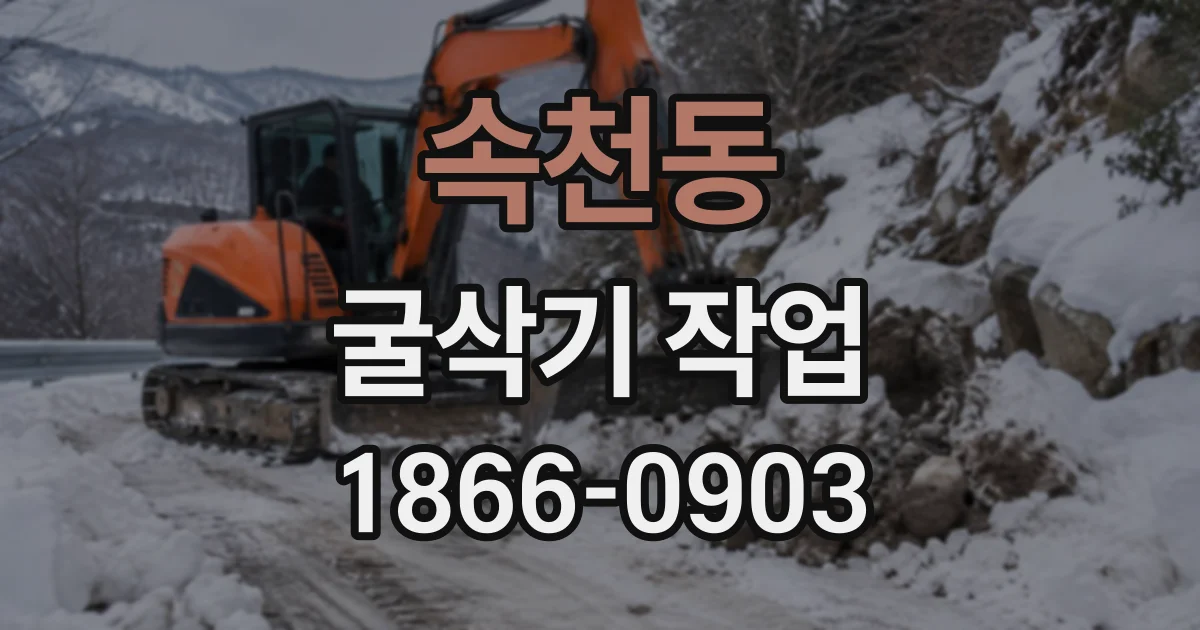 속천동 굴삭기작업