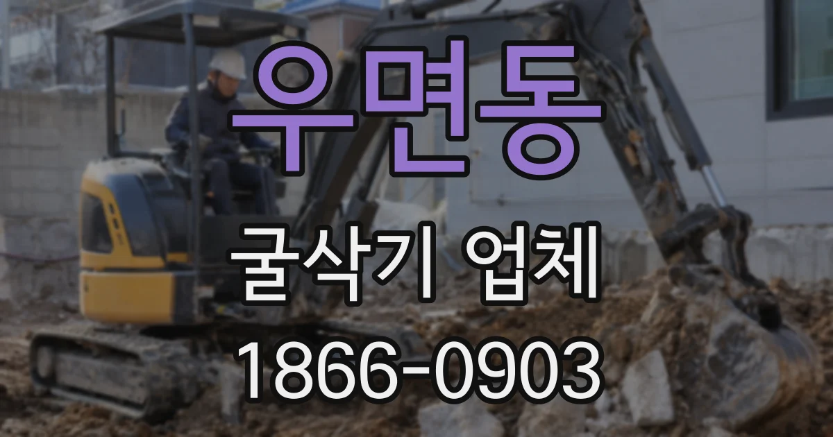 우면동 굴삭기 업체