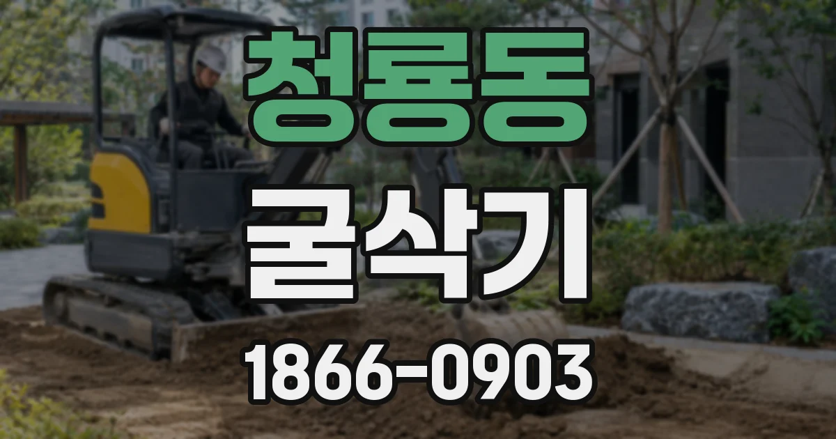 청룡동 굴삭기