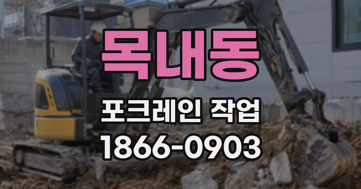 목내동 포크레인 작업