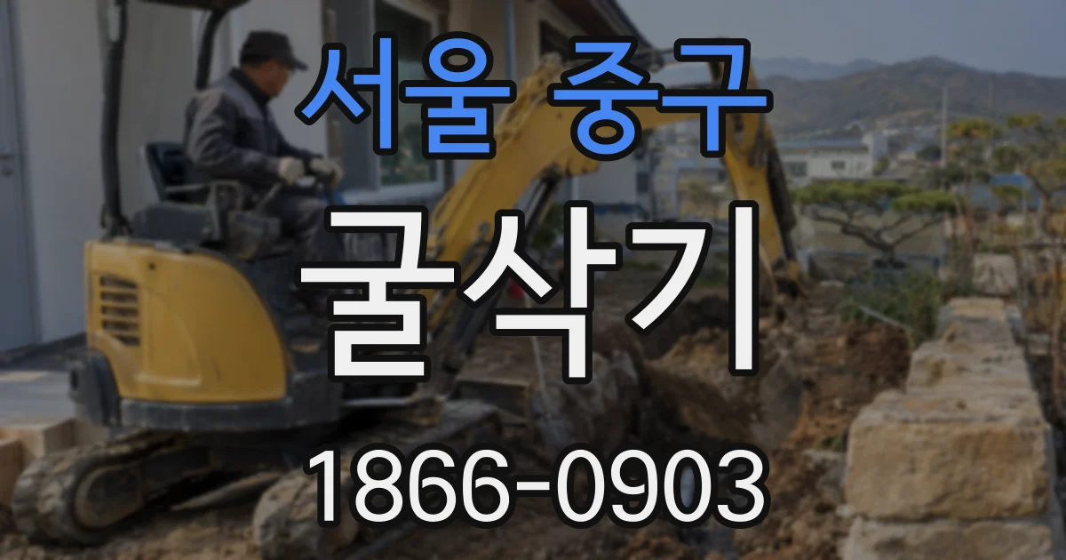서울 중구 굴삭기