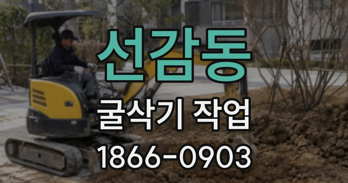 선감동 굴삭기 작업