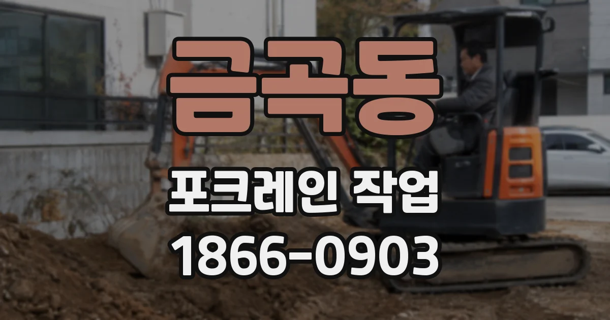 금곡동 포크레인 작업