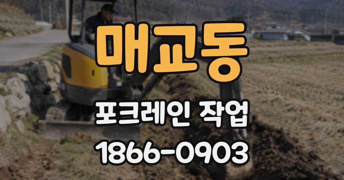 매교동 포크레인 작업