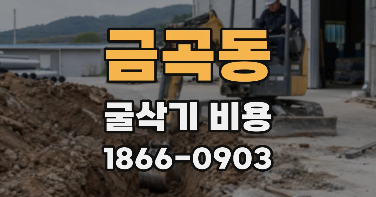 금곡동 굴삭기 비용