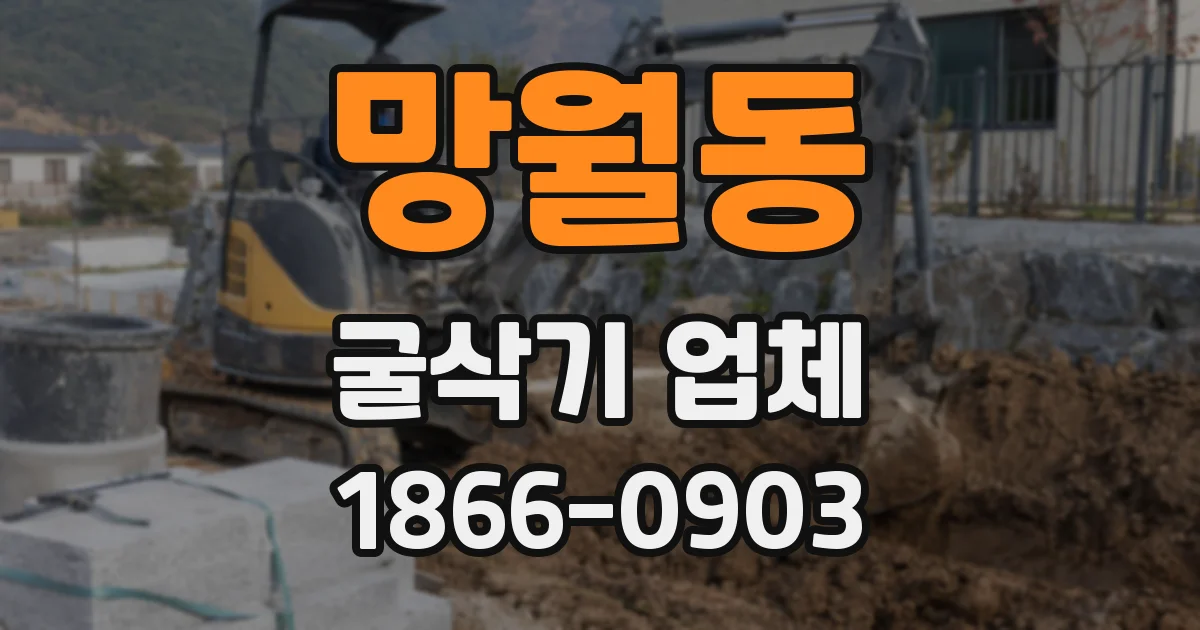 망월동 굴삭기 업체
