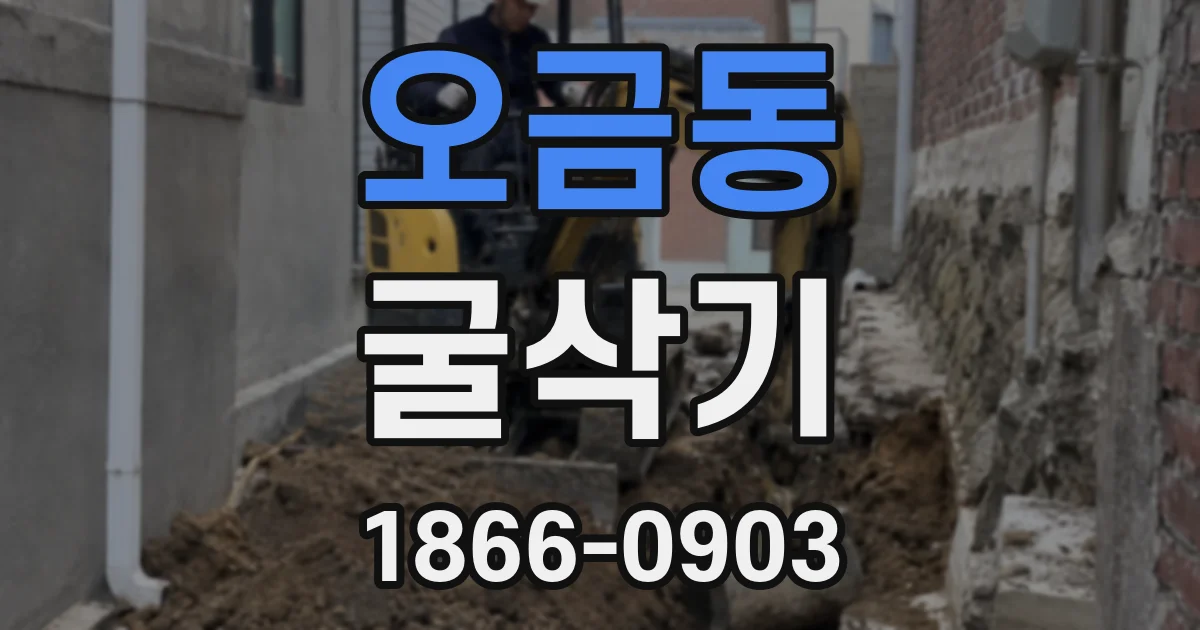 오금동 굴삭기