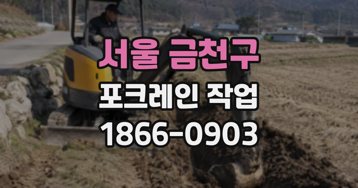 서울 금천구 포크레인 작업