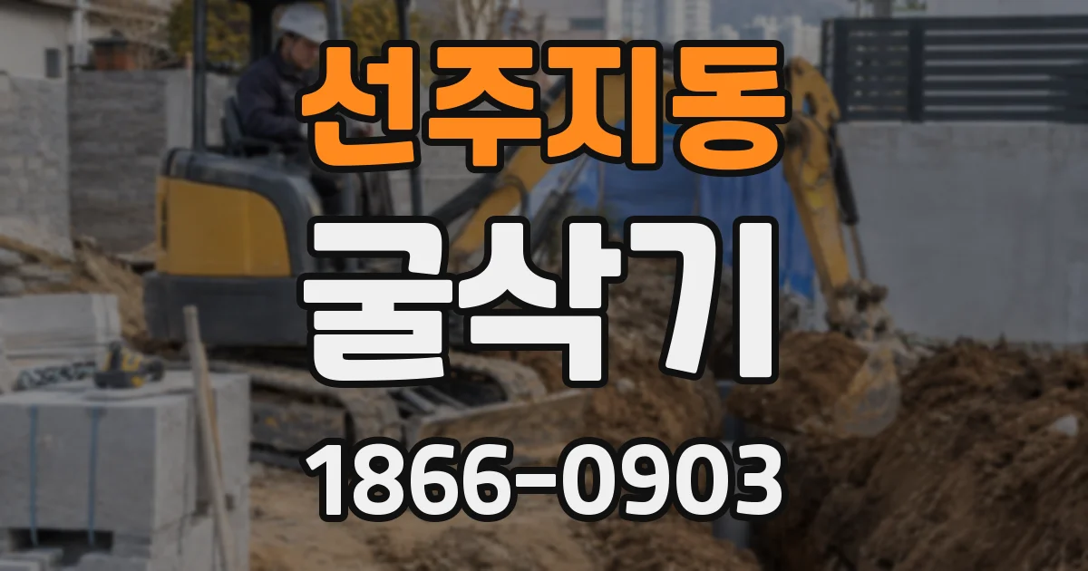 선주지동 굴삭기