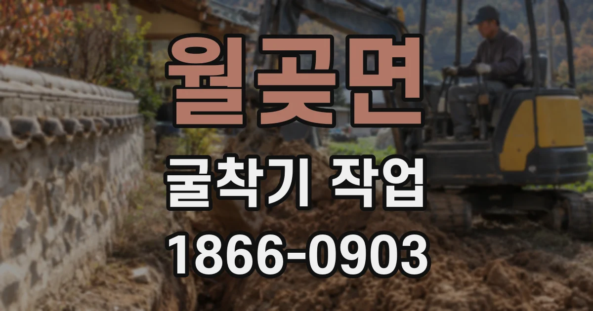 월곶면 굴착기 작업