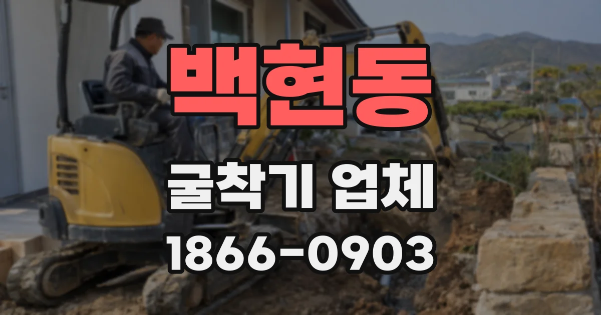백현동 굴착기 업체