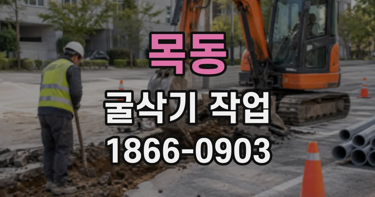 목동 굴삭기작업