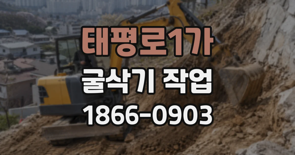 태평로1가 굴삭기 작업