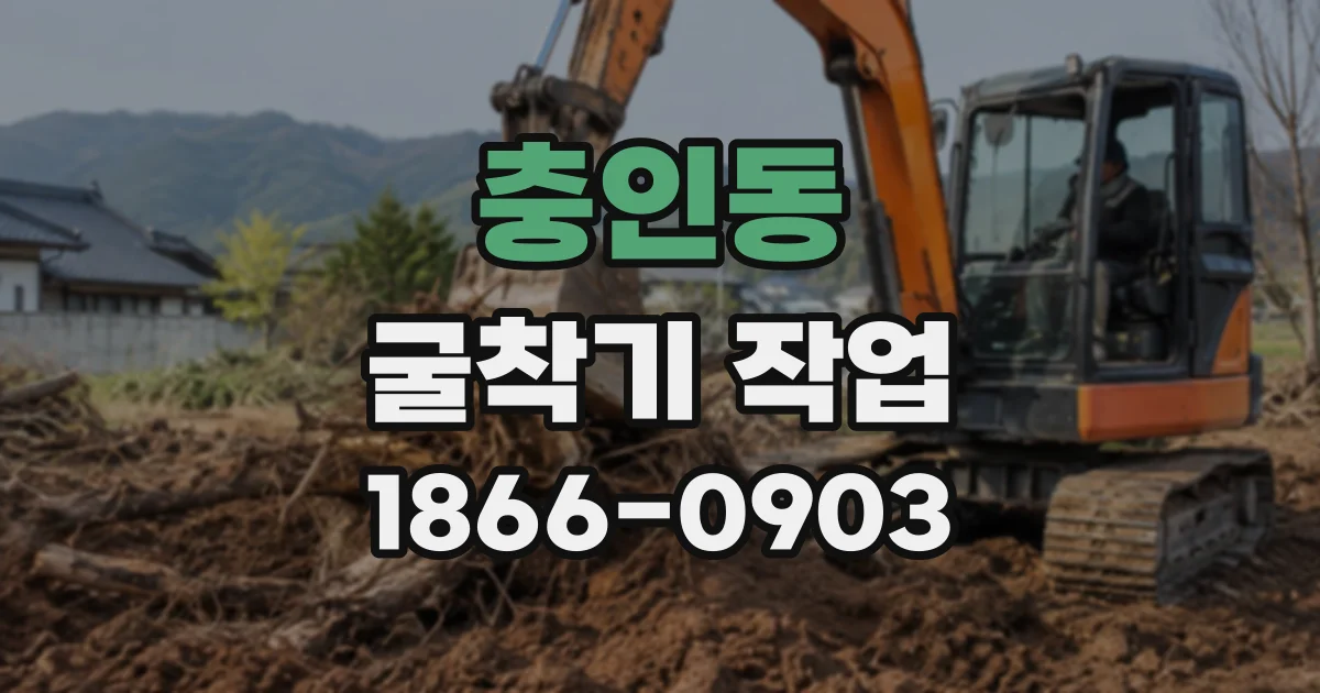 충인동 굴착기작업