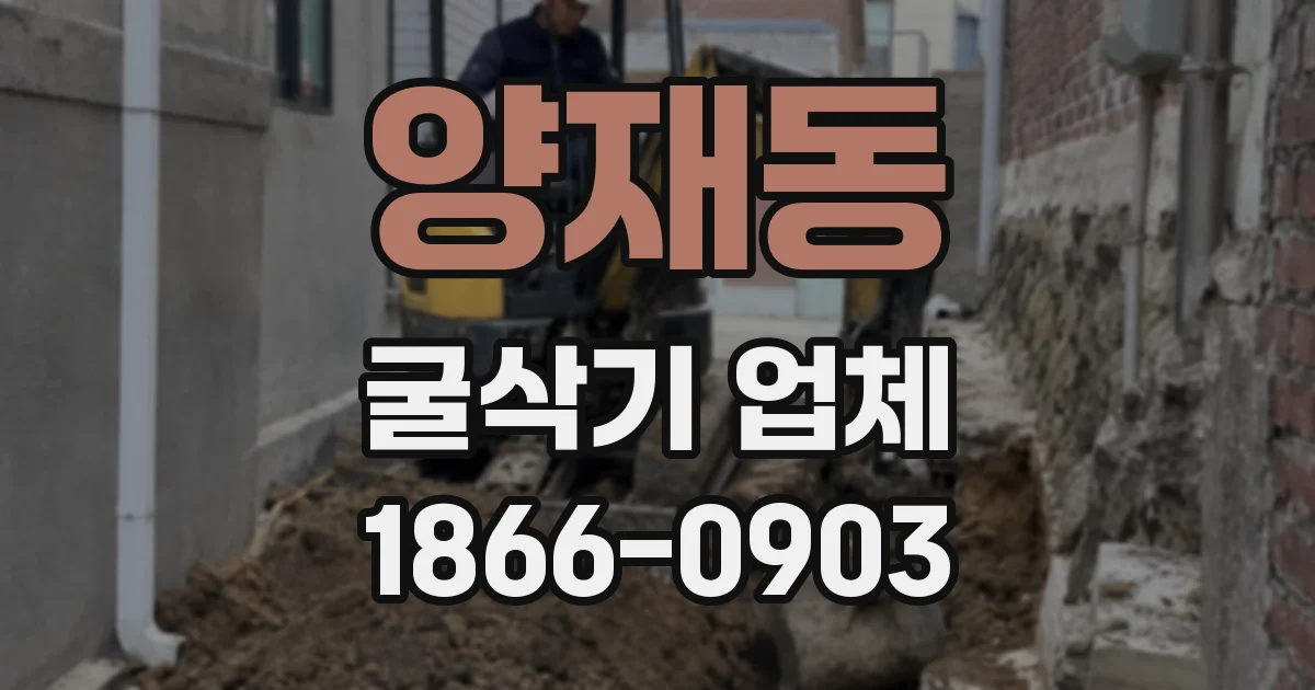 양재동 굴삭기 업체