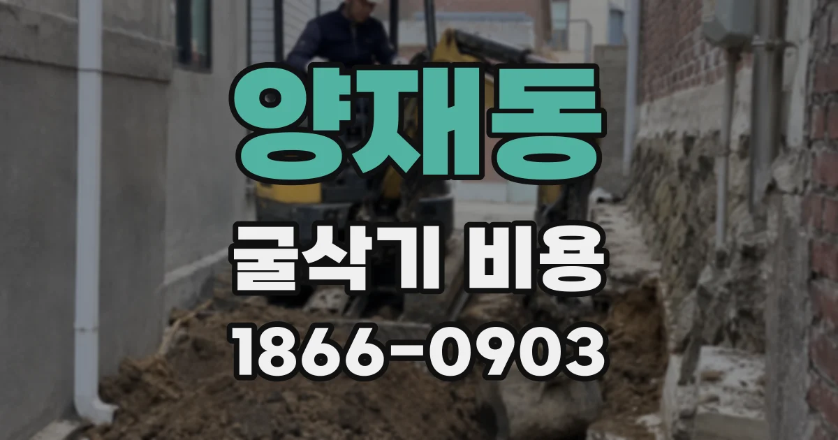 양재동 굴삭기 비용