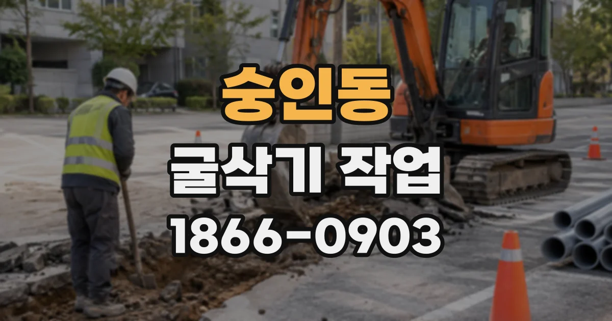 숭인동 굴삭기작업