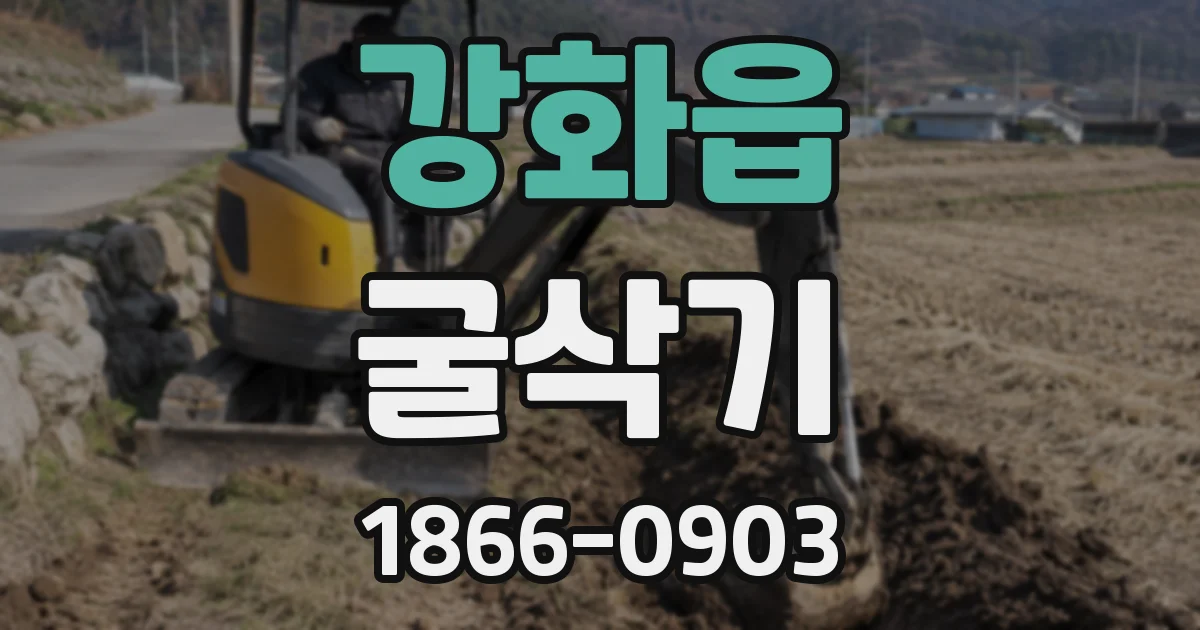 강화읍 굴삭기