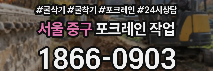 서울 중구 포크레인 작업