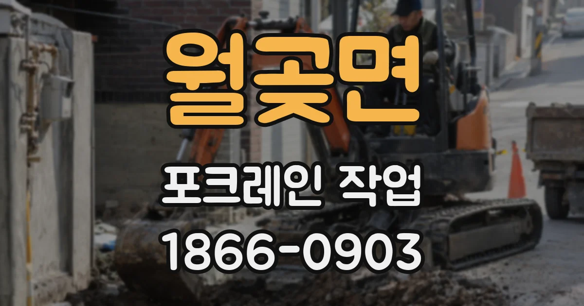 월곶면 포크레인 작업
