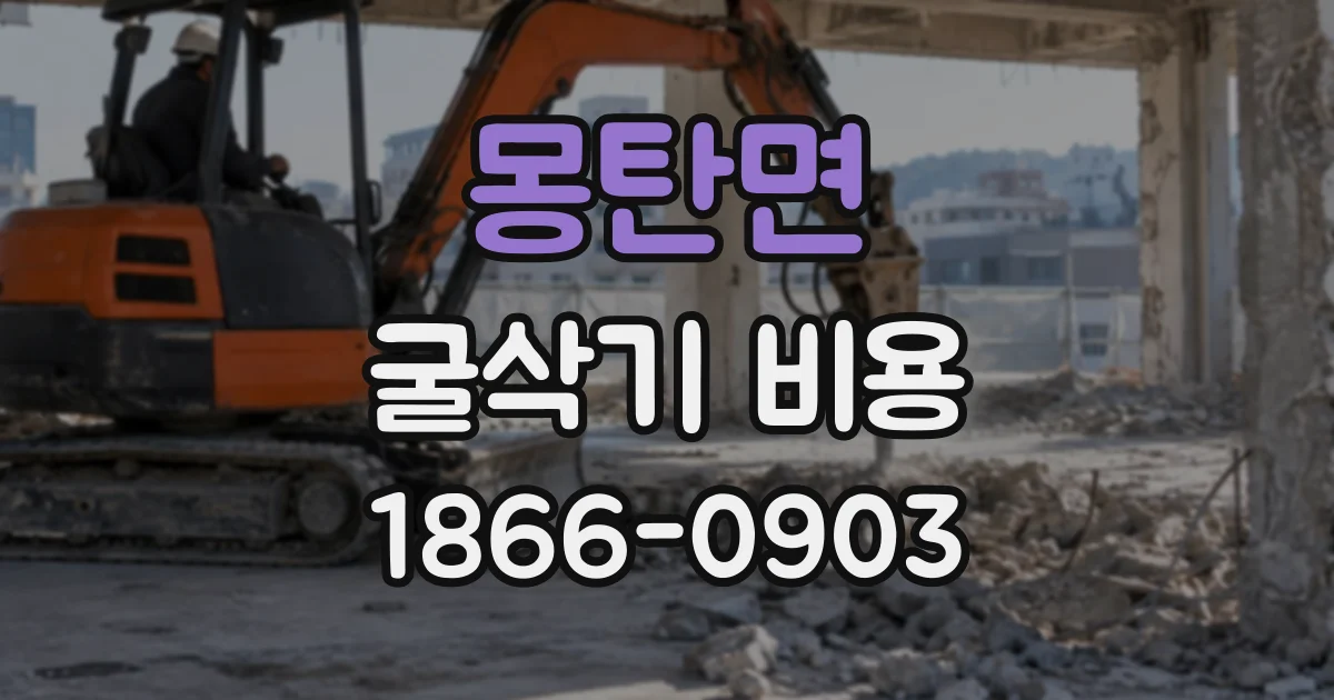 몽탄면 굴삭기비용